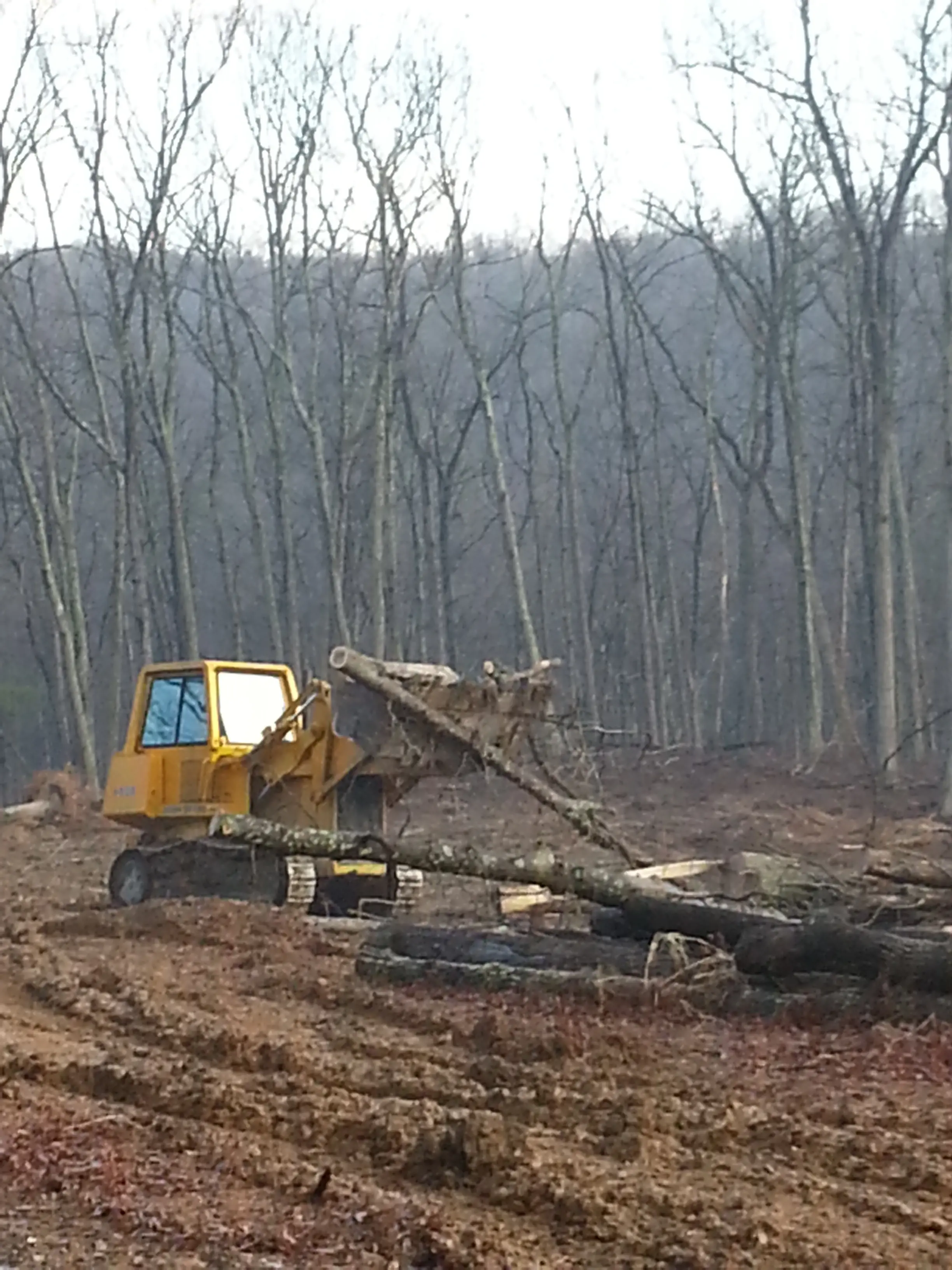 Northern Virginia Excavating