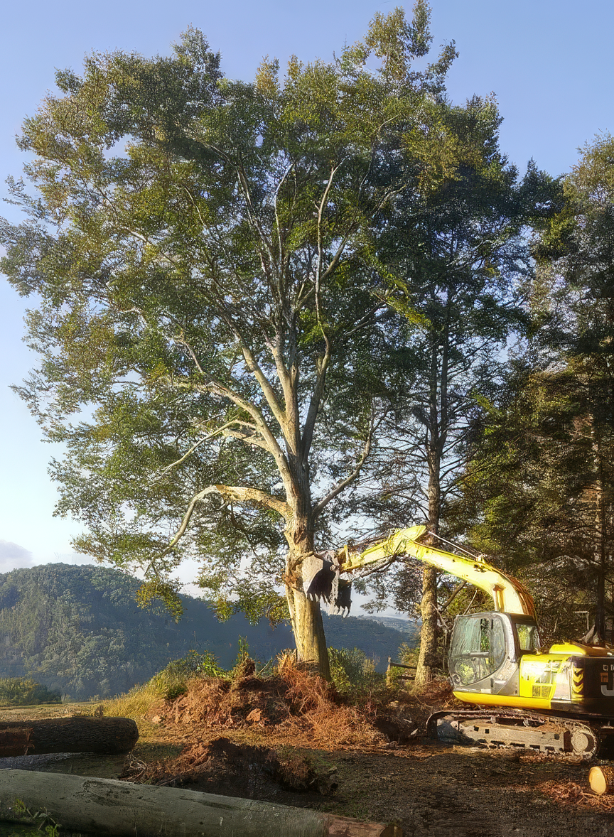 Upperville Virginia Excavating